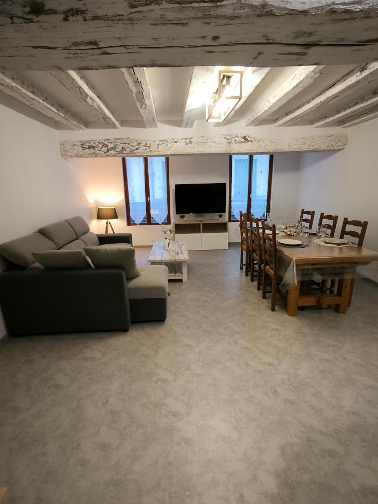Appartement 6-8 personnes, gîte, climatisé, classé 3 étoiles, proche du zoo de Beauval et des châteaux de la Loire photo 1