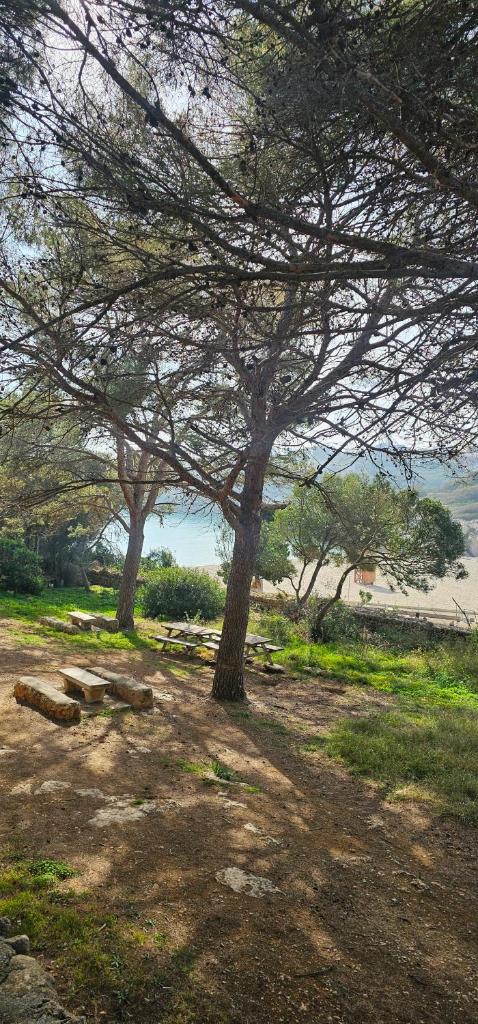 Casa Domingos Cales De Mallorca photo 2