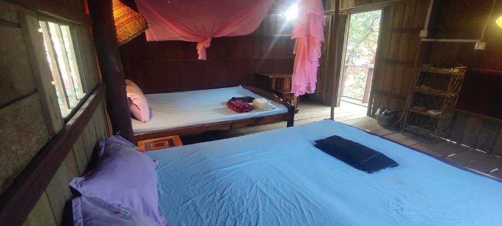Tree Trails Homestay & Offers Jungle Trekk-Scooter For Rental photo 3