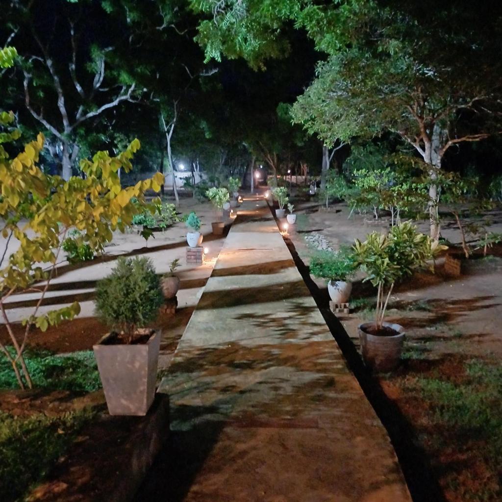 Forest edge villa photo 4
