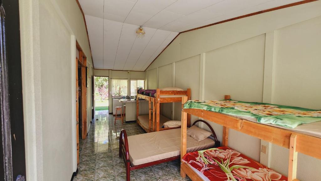 Hospedajes Richie Eco Camp photo 3