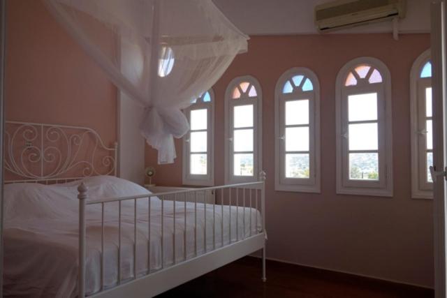Villa Dendron photo 2