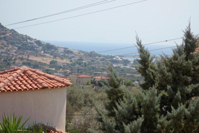 Villa Dendron photo 3