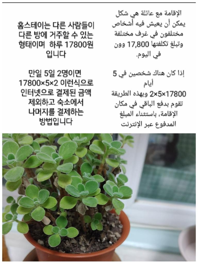 Cheonseong River Homestay photo 4