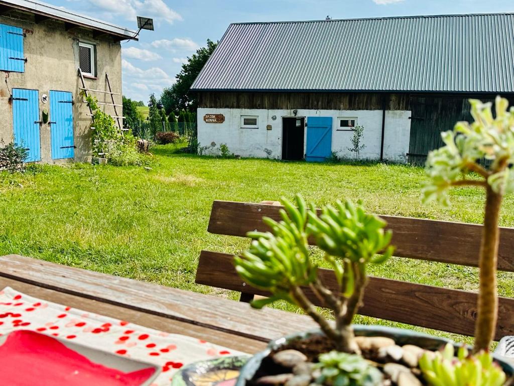 Stajnia Kopytkowo photo 1