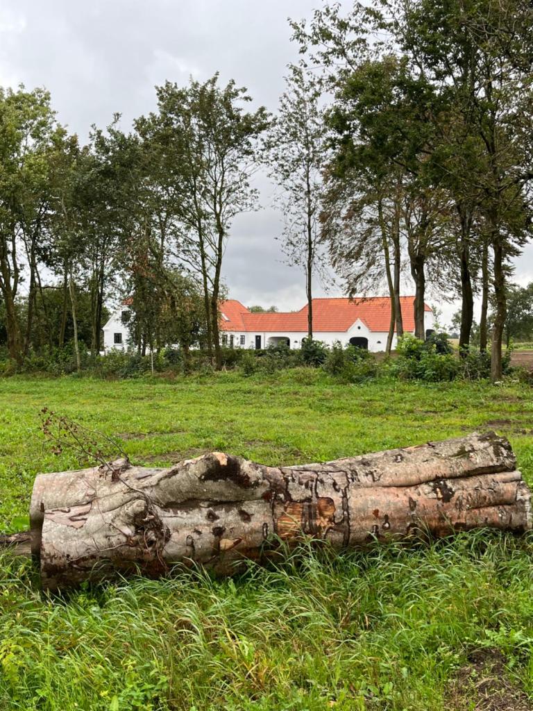 Oustrupgård photo 3