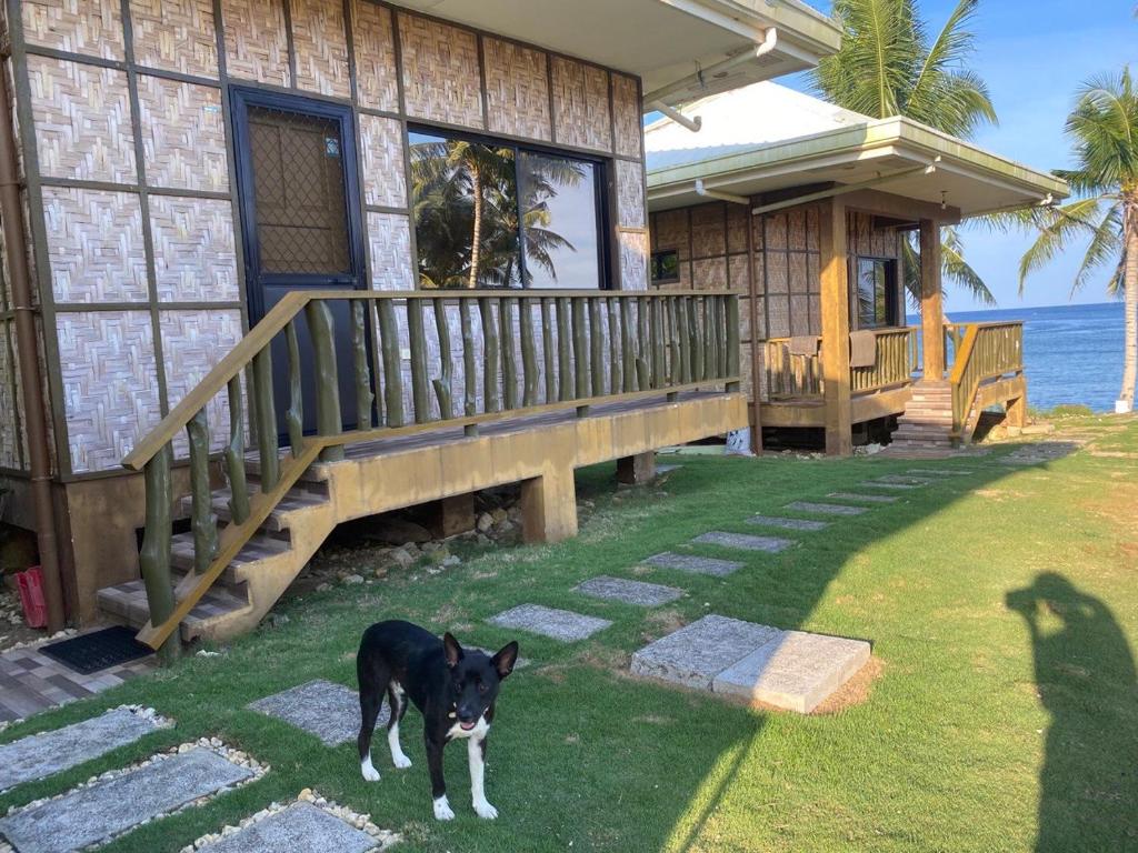 Villa Malinao Oceanview Resort - Deluxe bungalow photo 1