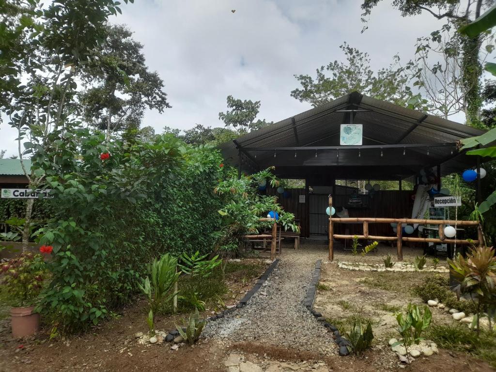 Chava Camping Rio Celeste photo 3