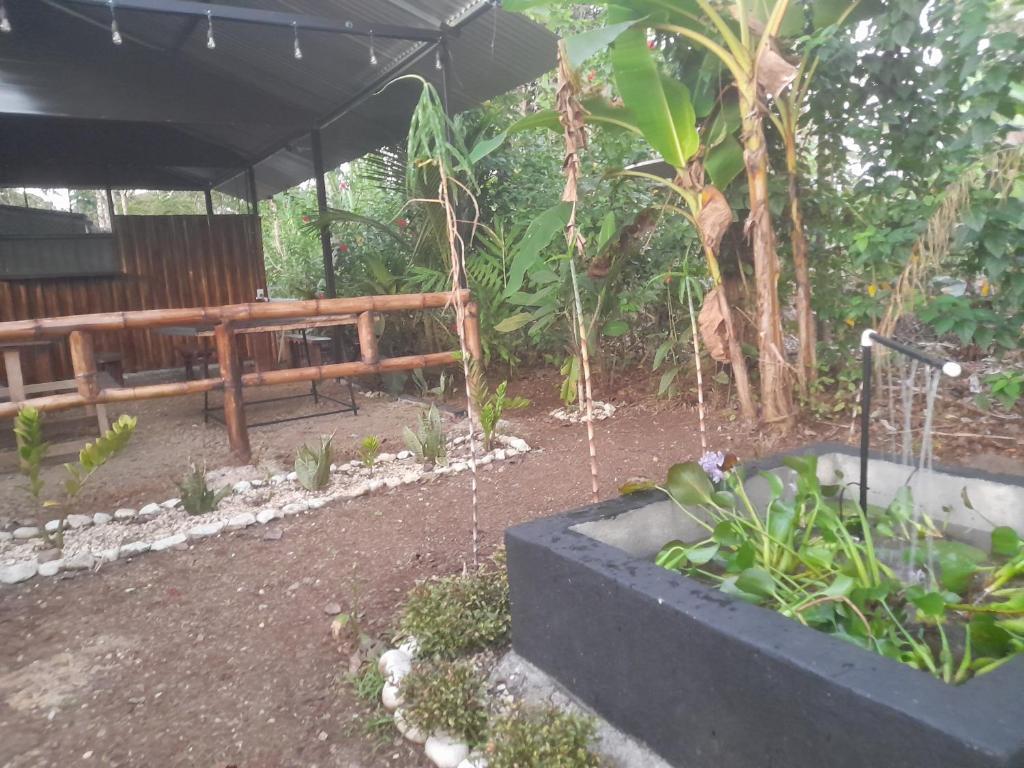 Chava Camping Rio Celeste photo 2