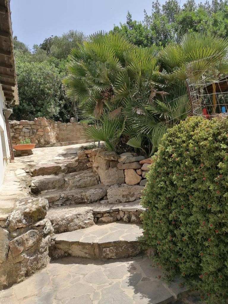 Il Lentischio photo 4