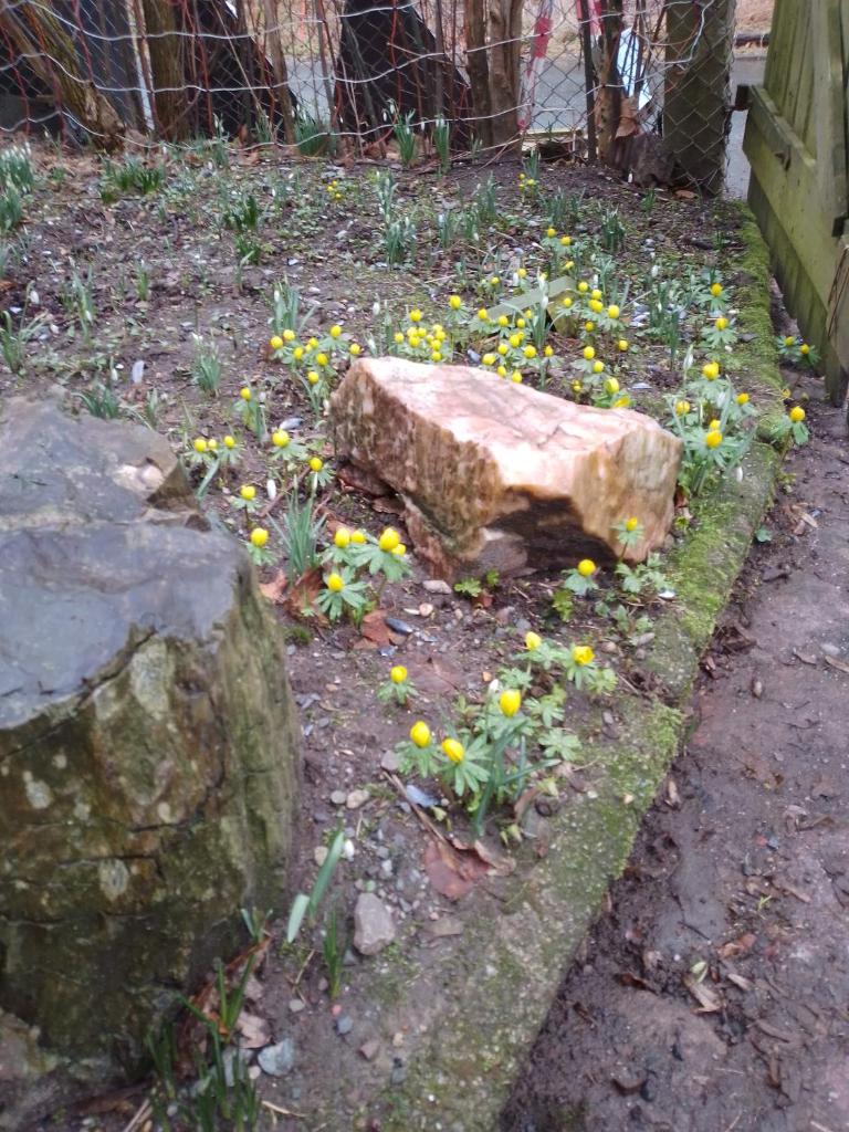 Wohnen im Denkmal am Mittleren Zschopautal photo 2