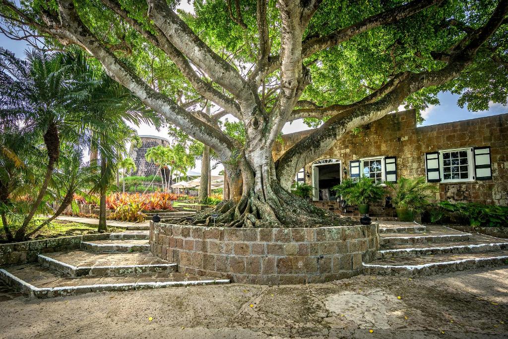 Montpelier Plantation & Beach photo 1