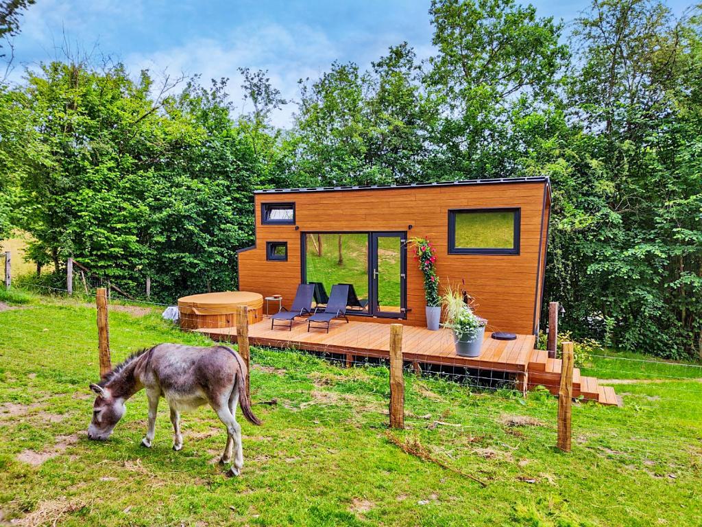La mini maison dans la prairie photo 3