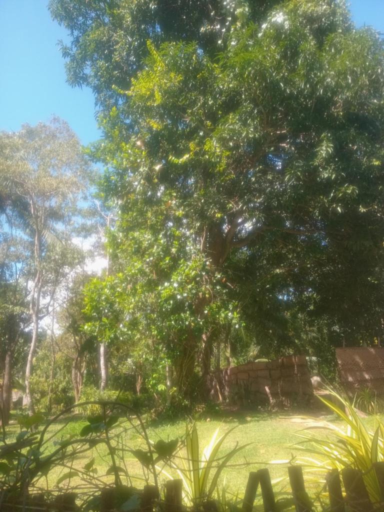 Green Garden Hiriketiya photo 2