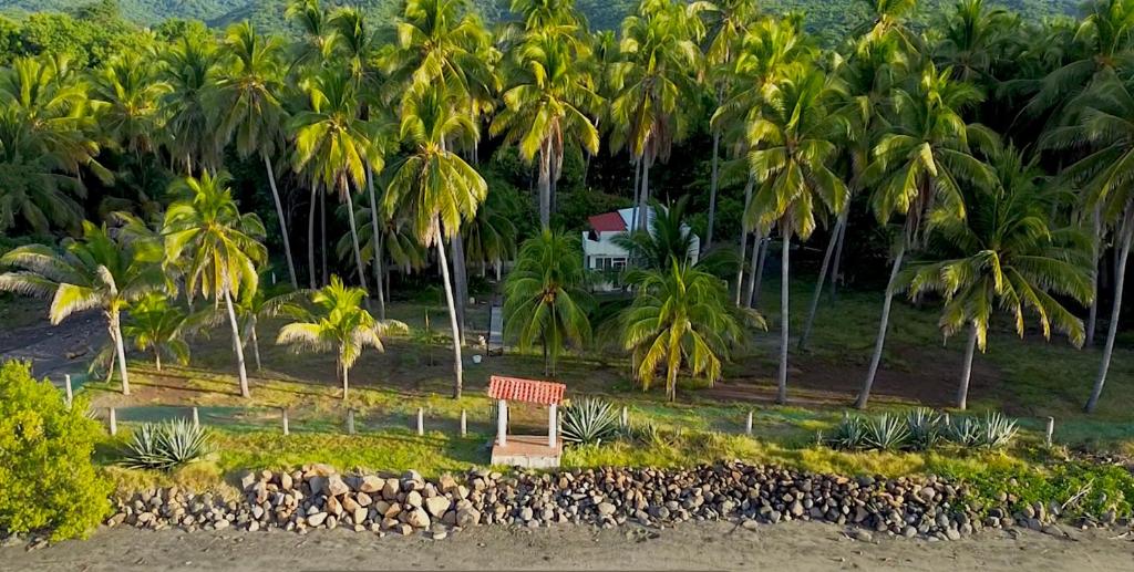 Sugarloaf Beach House & Surf Lodge