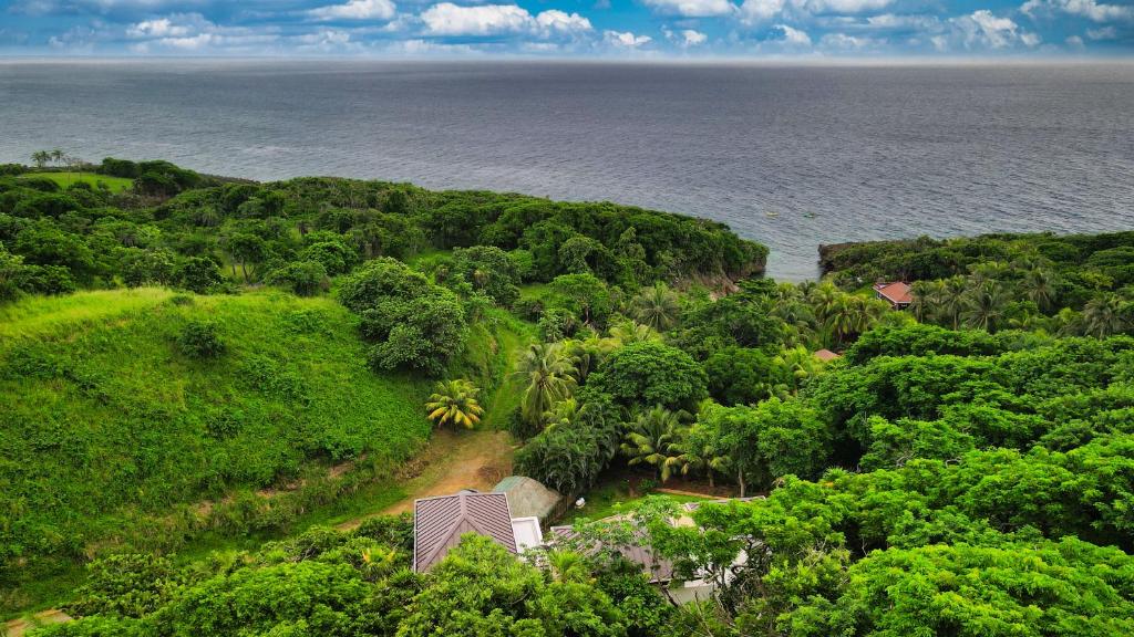 Bill's Retreat photo 4
