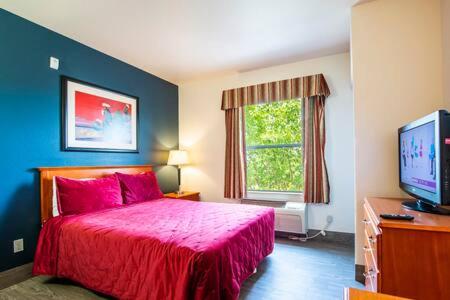 The Vistas 119 Modern studio with full kitchen 1st floor great location image