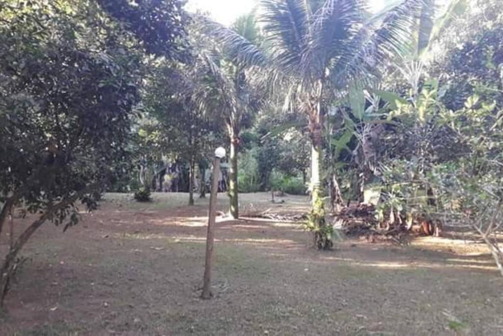Casa da Floresta photo 4