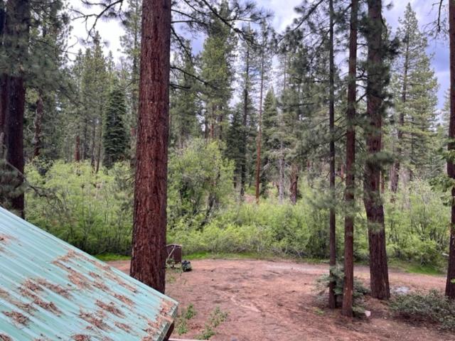 Cabin in the Woods photo 1