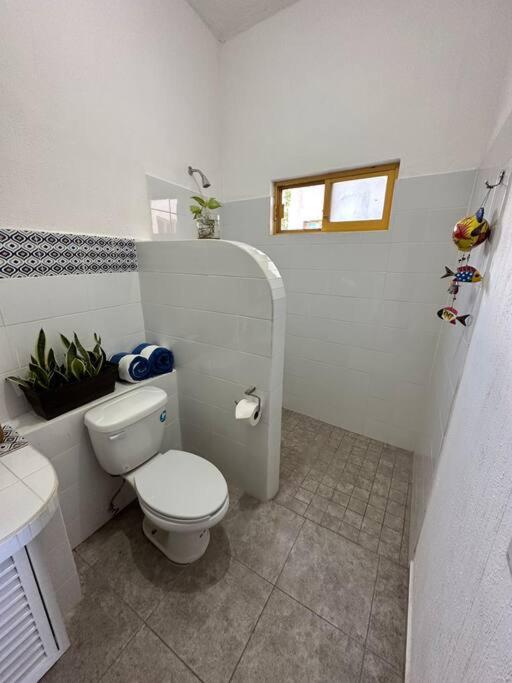 Amplio Loft pulpo nuevo photo 4