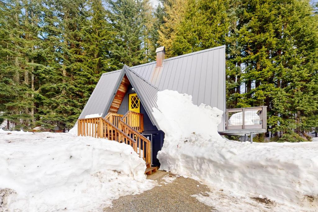Alpine Modern A-Frame