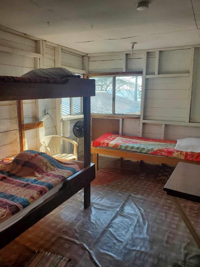Schmidt’s Natures Way Guesthouse photo 3