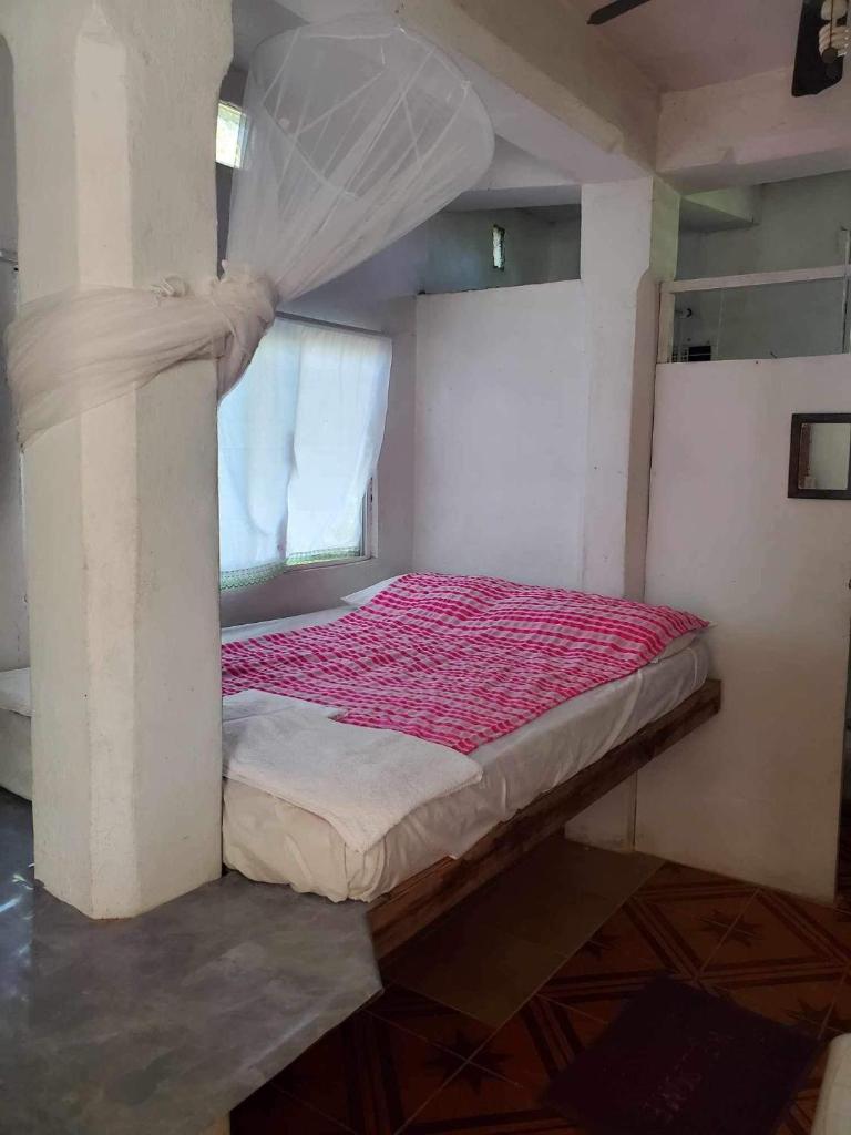 Schmidt’s Natures Way Guesthouse photo 2
