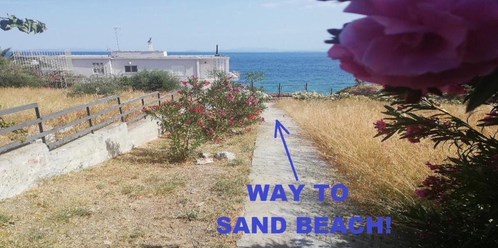 kineta Sunny Beach photo 1