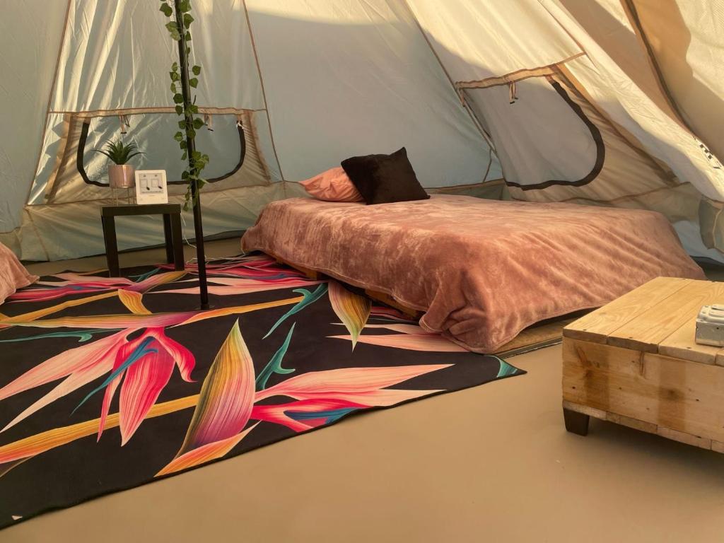 Glamping Las Palmas pescadero bcs