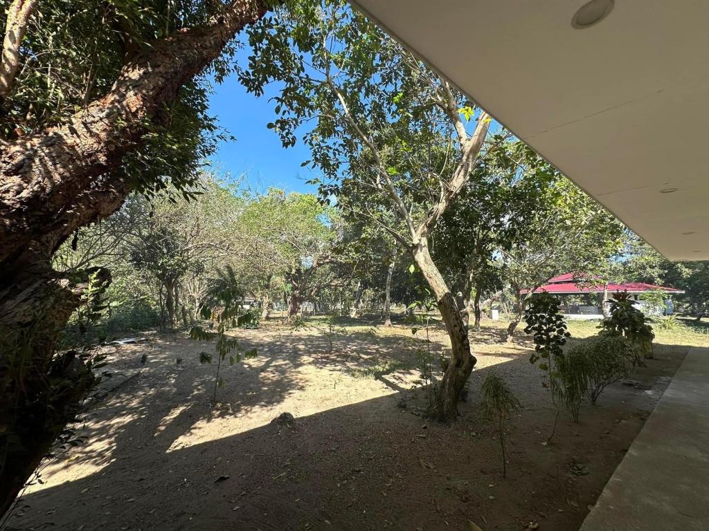 Magalong Villa at Holy Land in Busuanga photo 3