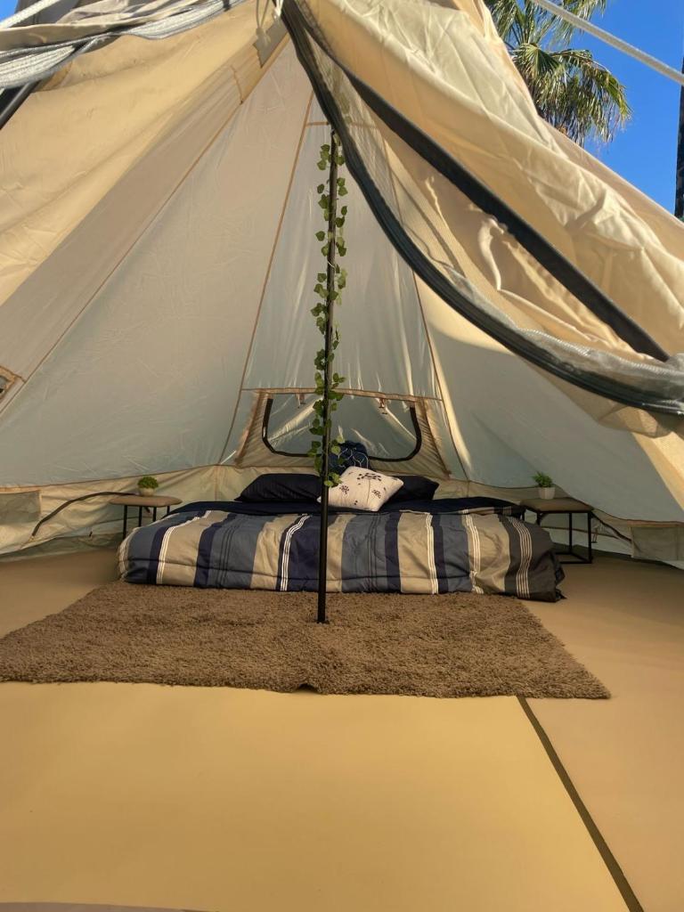 Glamping Las Palmas pescadero bcs photo 2