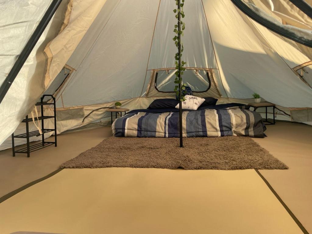 Glamping Las Palmas pescadero bcs photo 3