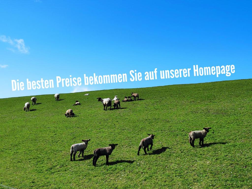 Apartmenthaus Wattwurm photo 1