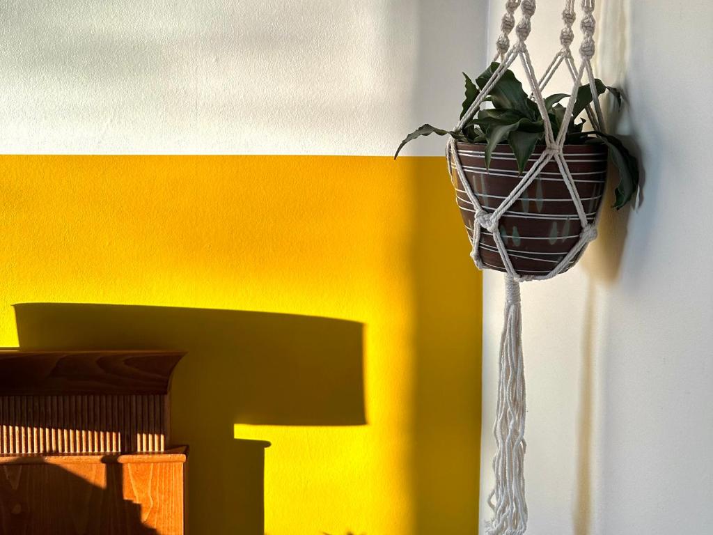Guesthouse De Wissen photo 1