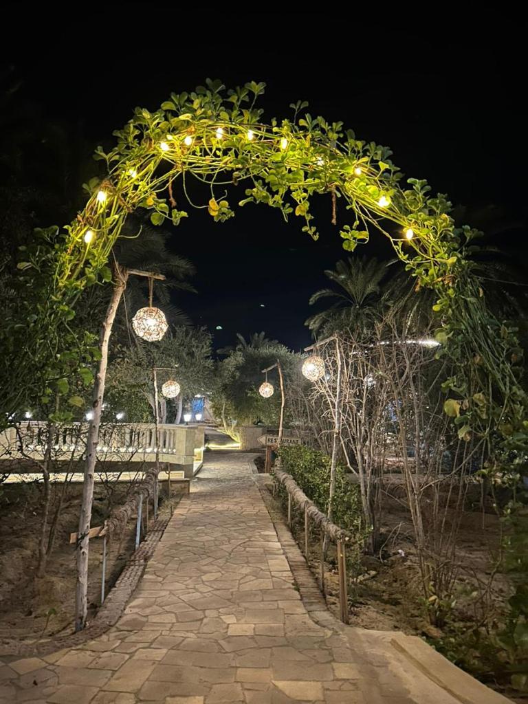Dream Lodge Siwa دريم لودج سيوة photo 3