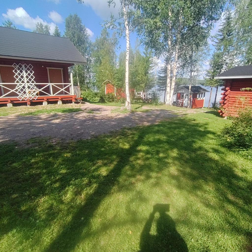 Rytiranta photo 3