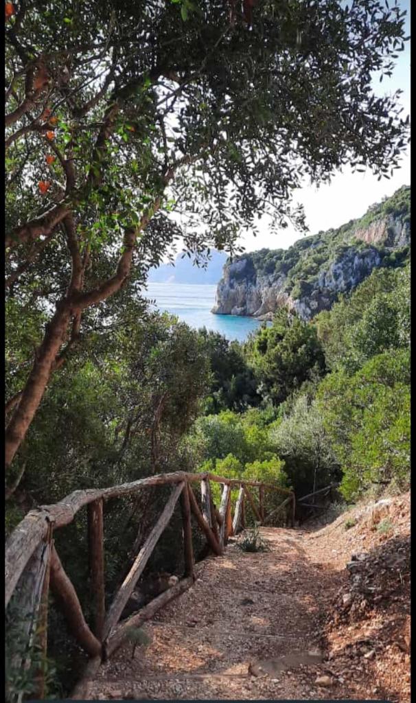 Appartamenti Manuela photo 1