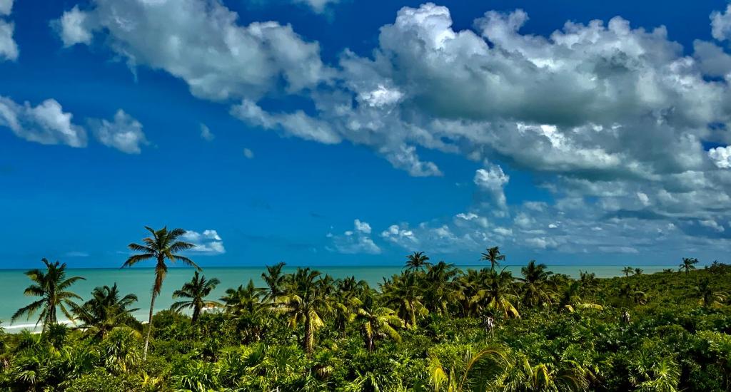 Casa Mia El Cuyo Eco Beach Boutique Hotel photo 2