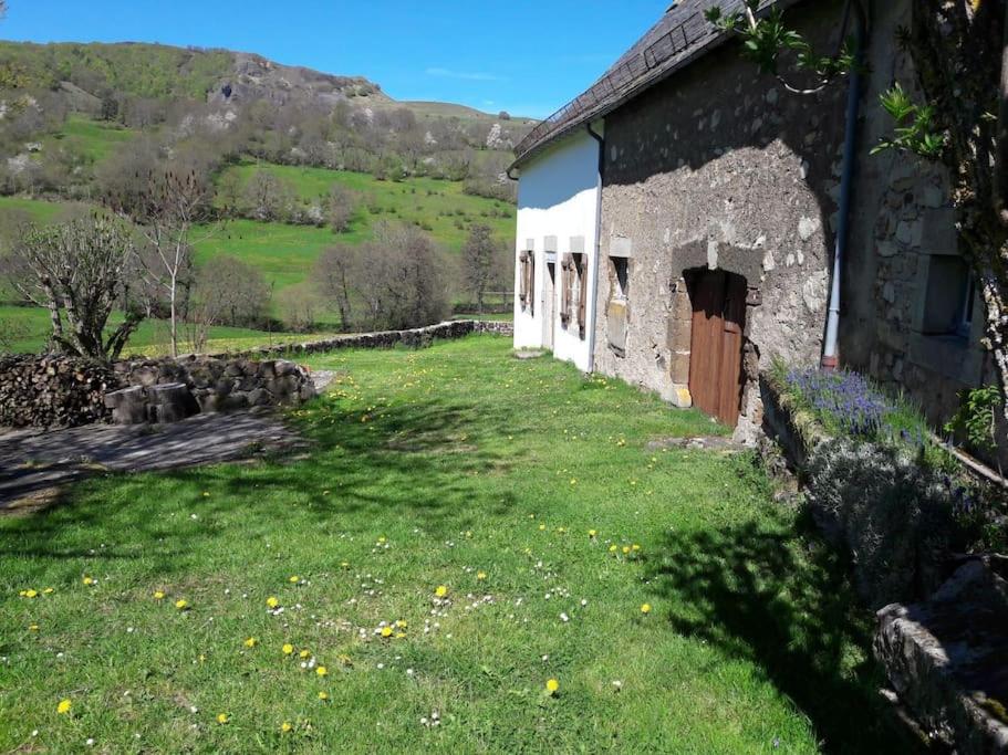Gîte Vallée du Puy-Mary - Cheylade