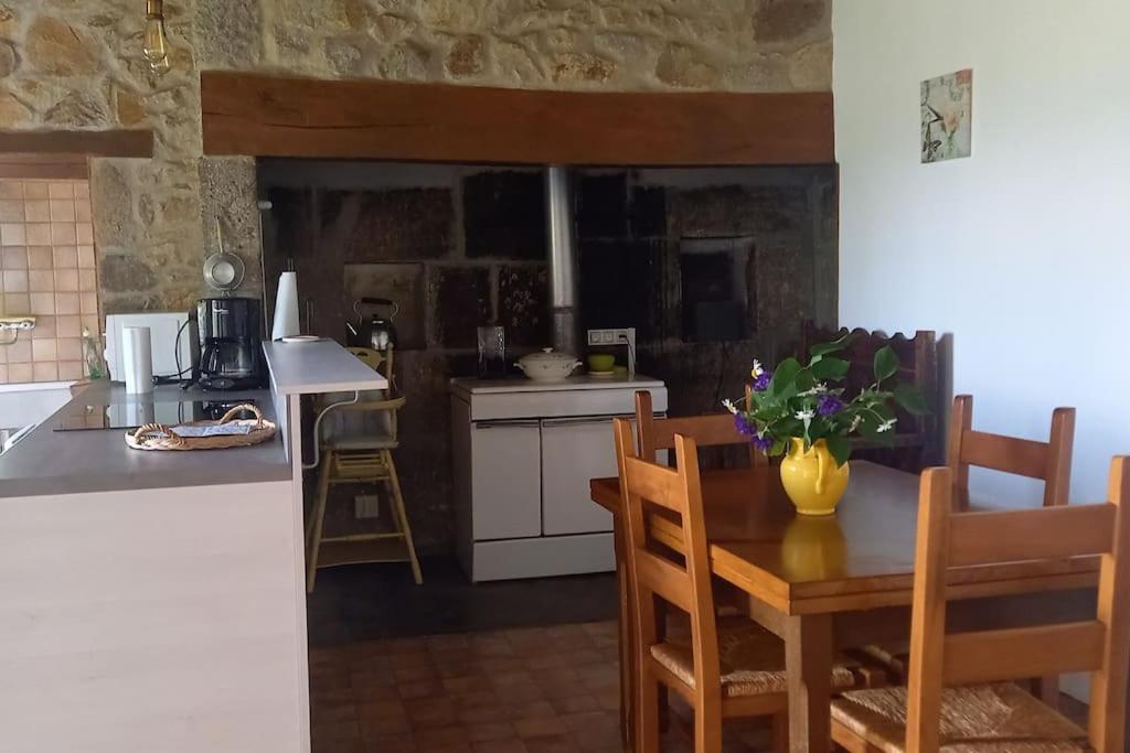 Gîte Vallée du Puy-Mary - Cheylade photo 3