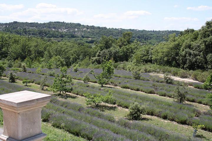 very beautiful and charming 18th century estate in bonnieux, luberon area, in provence - 8 personnes photo 2