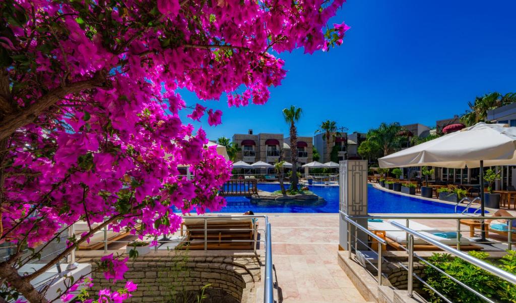 Bodrium Hotel & Spa photo 4