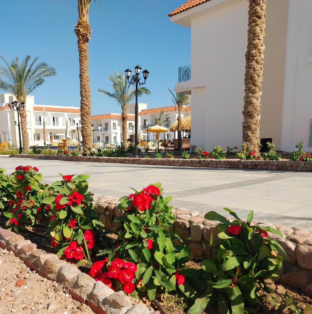 Blue Residence Dahab photo 3