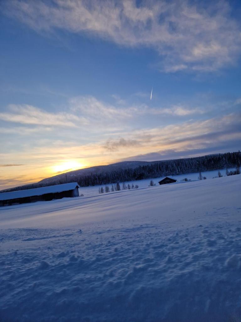 Överkalix Kalixalven Lodge Jockfall photo 4
