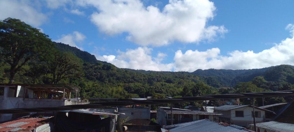 Aracari Inn Mindo photo 1