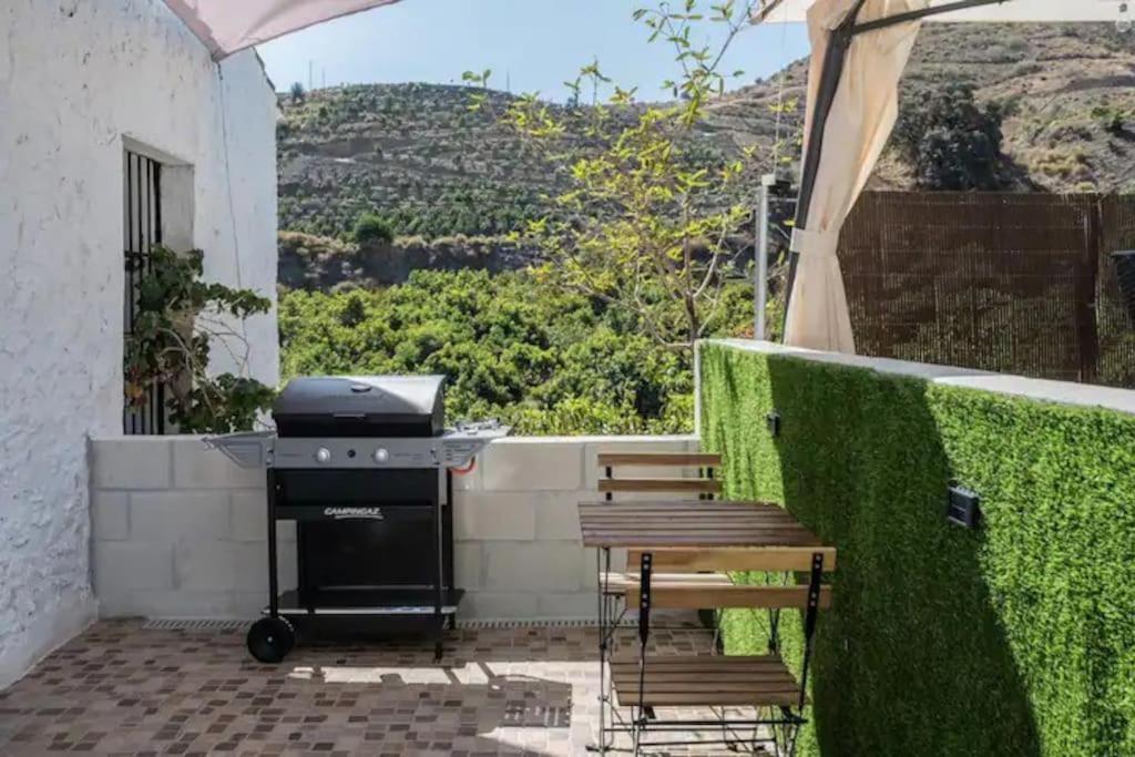 Casa Tropical, 365-Rentals photo 2