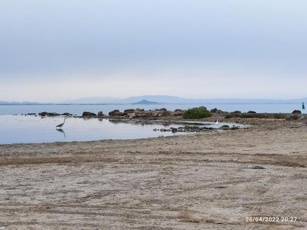 Ático Playa Honda photo 4