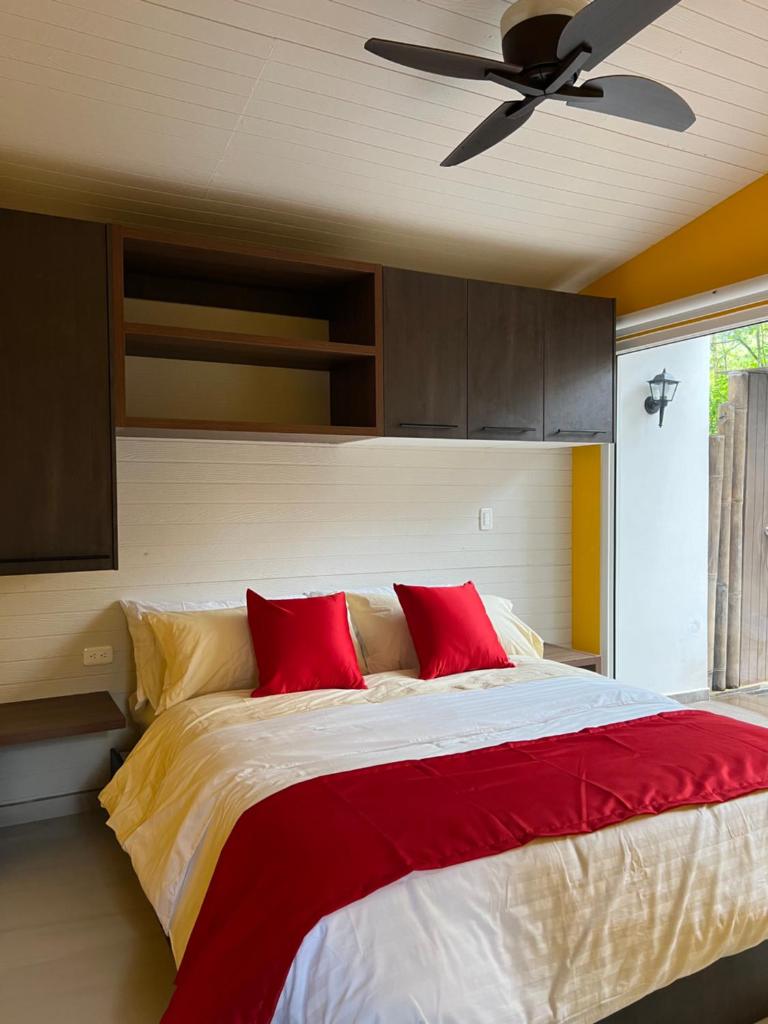 Subtropica Premium Suites - Mindo photo 3