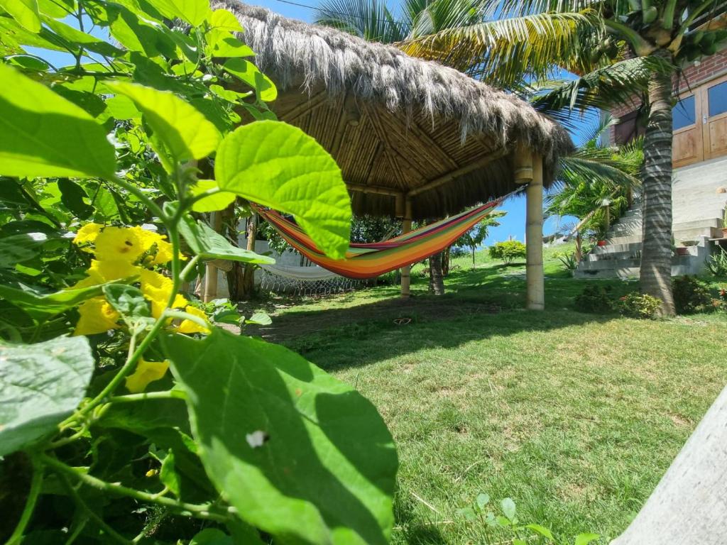 Casa de Orion photo 3