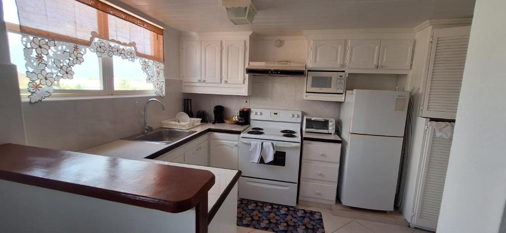 Seaview property Hastings Towers 3D-Studio Apt